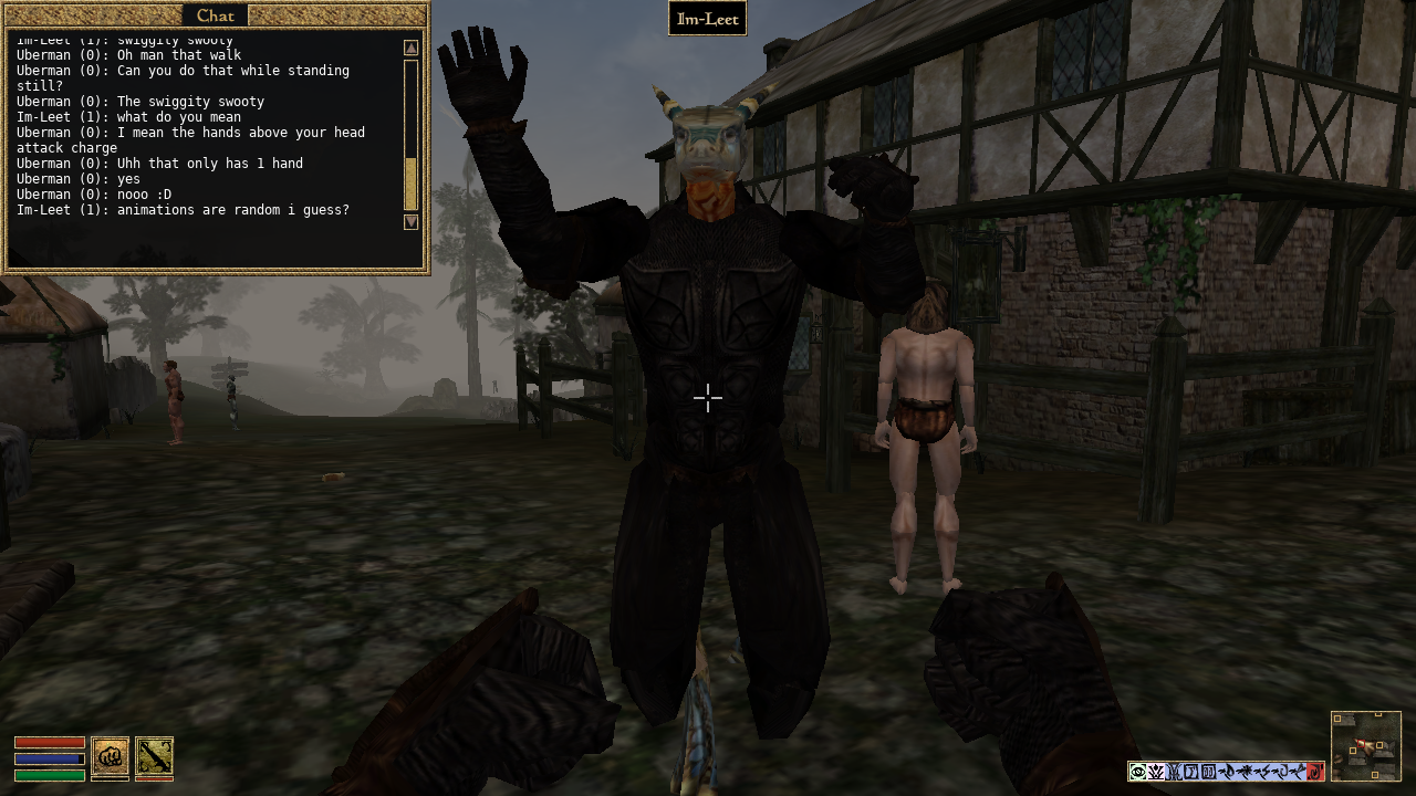 playing a mage in morrowind